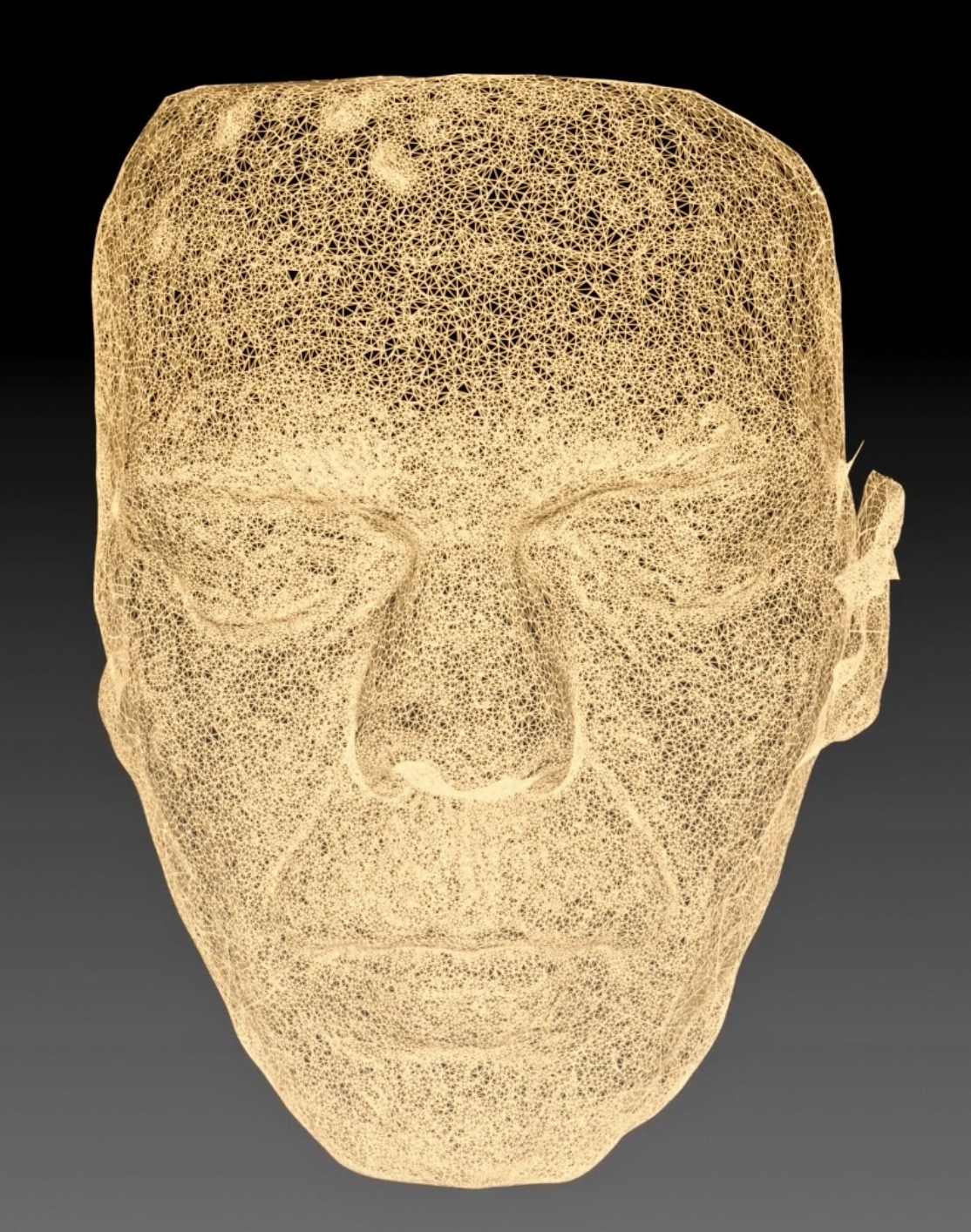 3D wireframe mesh reconstruction of a face showing geometric calibration